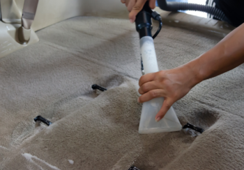 Lavagem a seco de carpete: o que é e como funciona