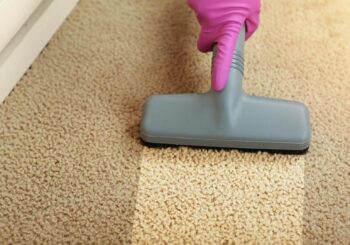 Manchas em carpetes: confira dicas para limpar seu carpete a seco e retirá-las